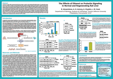 Research paper on ethanol