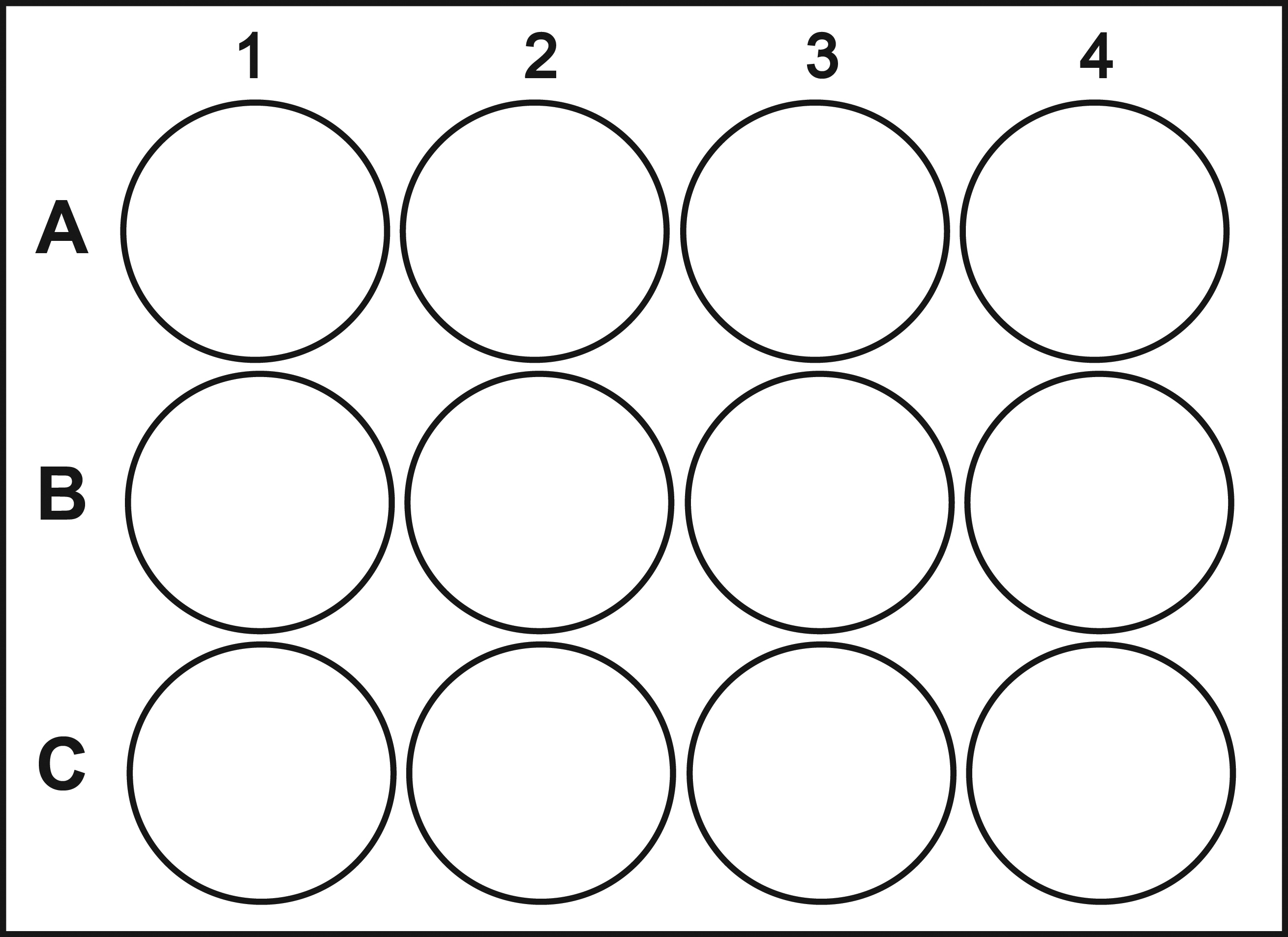 12 Well Plate Template