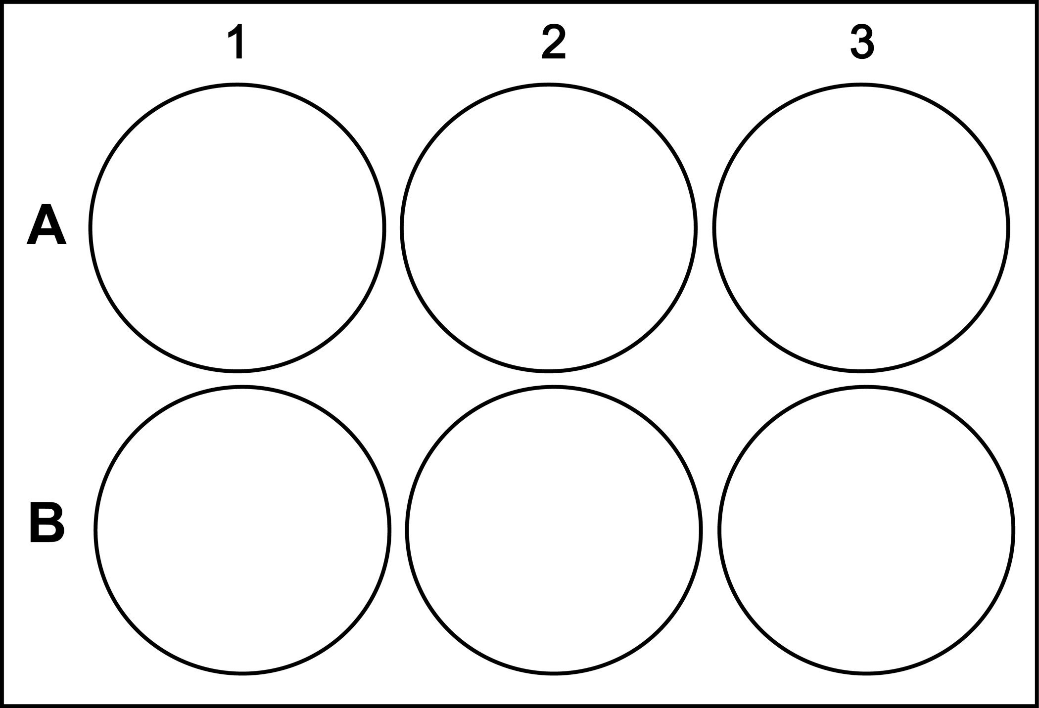 Six Well Plate Template